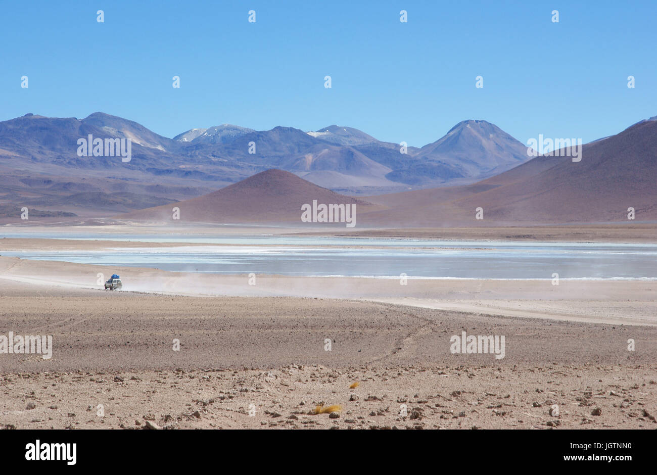 Laguna Blanca, Reserves national of Andean fauna Eduardo Abaroa, Desert of Lipez, Department of Potosi, Sud Lipez Province, La Paz, Bolívia Stock Photo