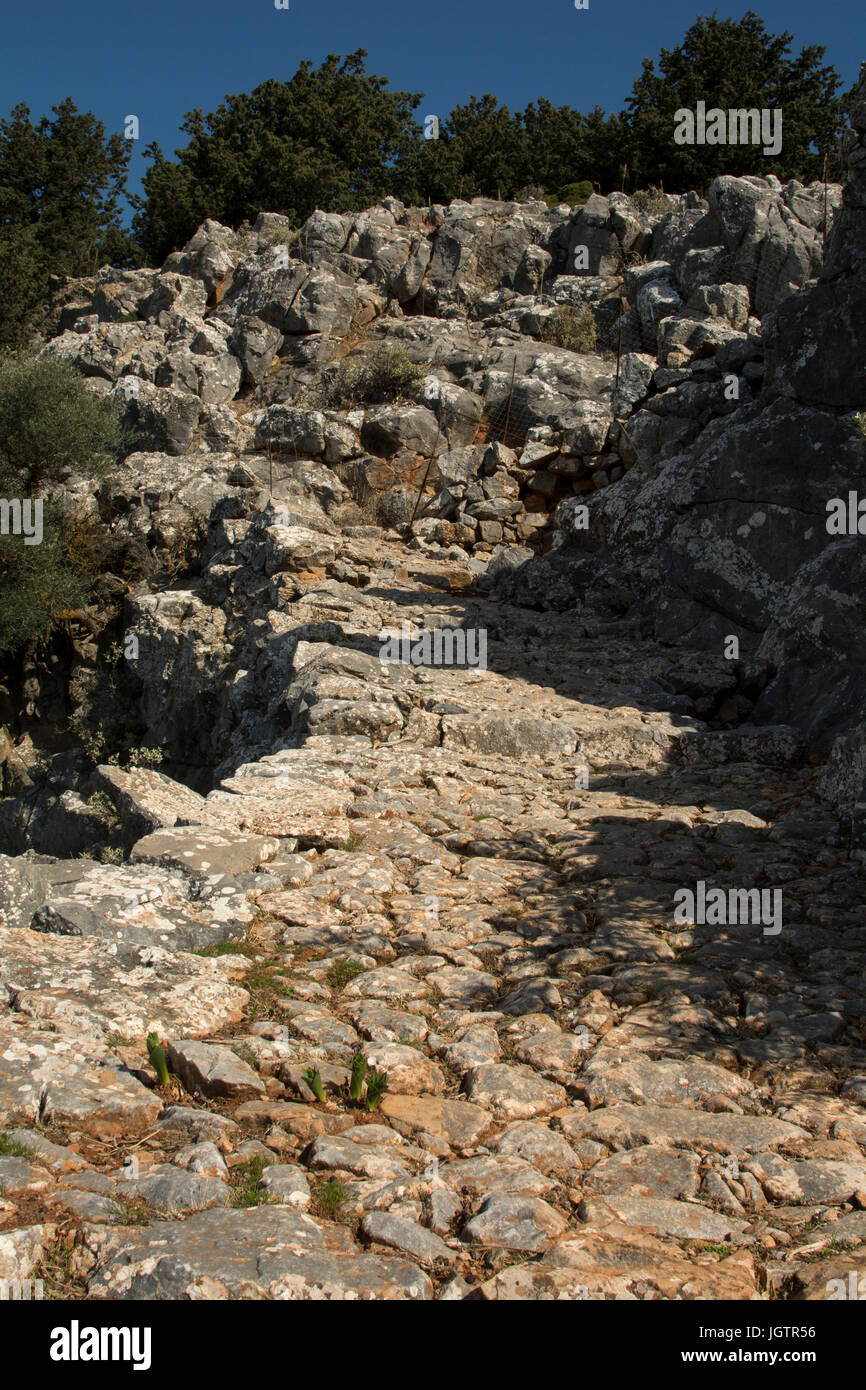 Perhaps a thousend year old Kalderimi or cobblestone paved roads for mulis were the main traffic system in Crete in former times. Nowadays Kalderimi l Stock Photo