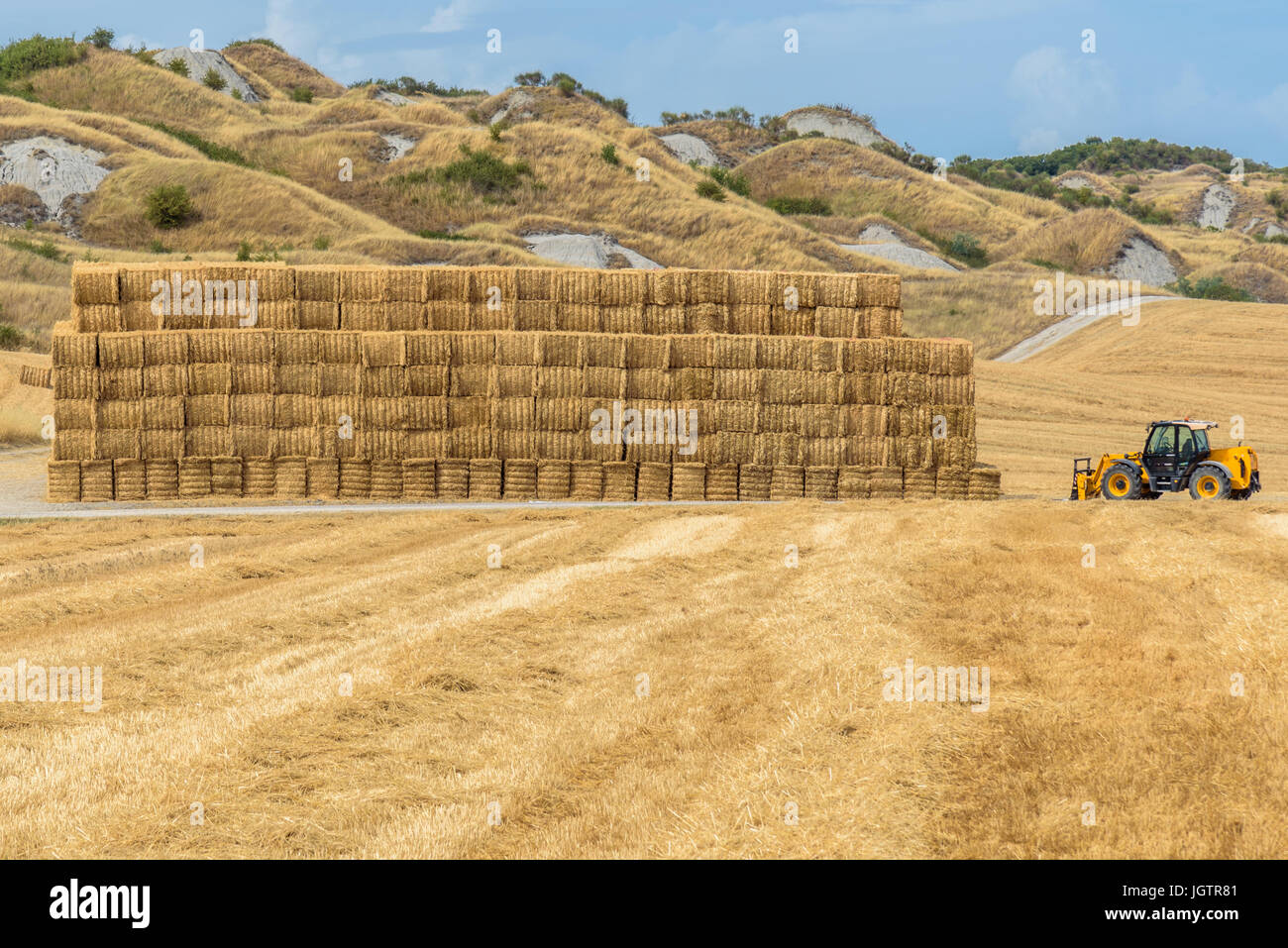 View of a summer day in the Italian rural landscape Stock Photo - Alamy