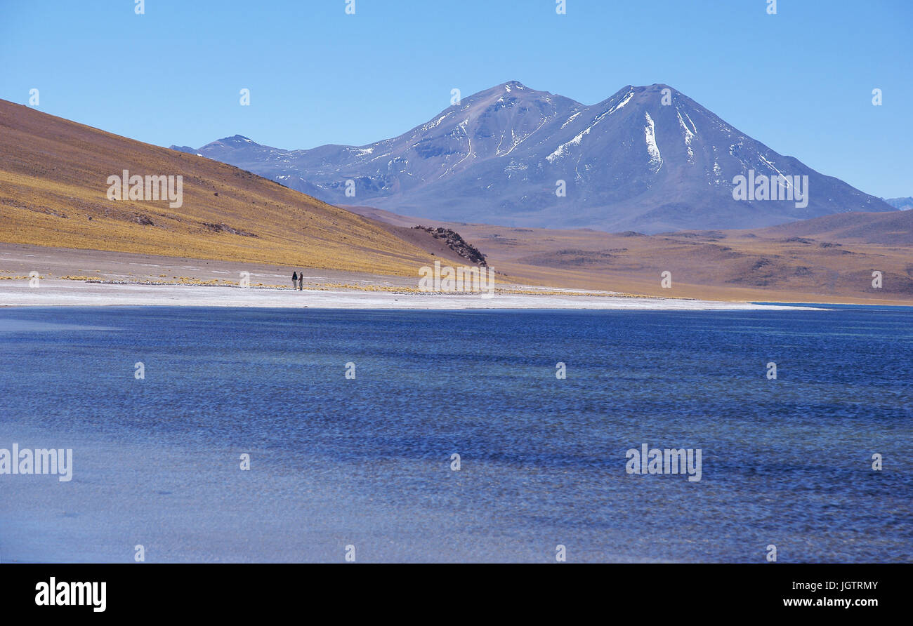 Laguna Miscanti, Los Flamencos Reserve National, Atacama Desert, Region