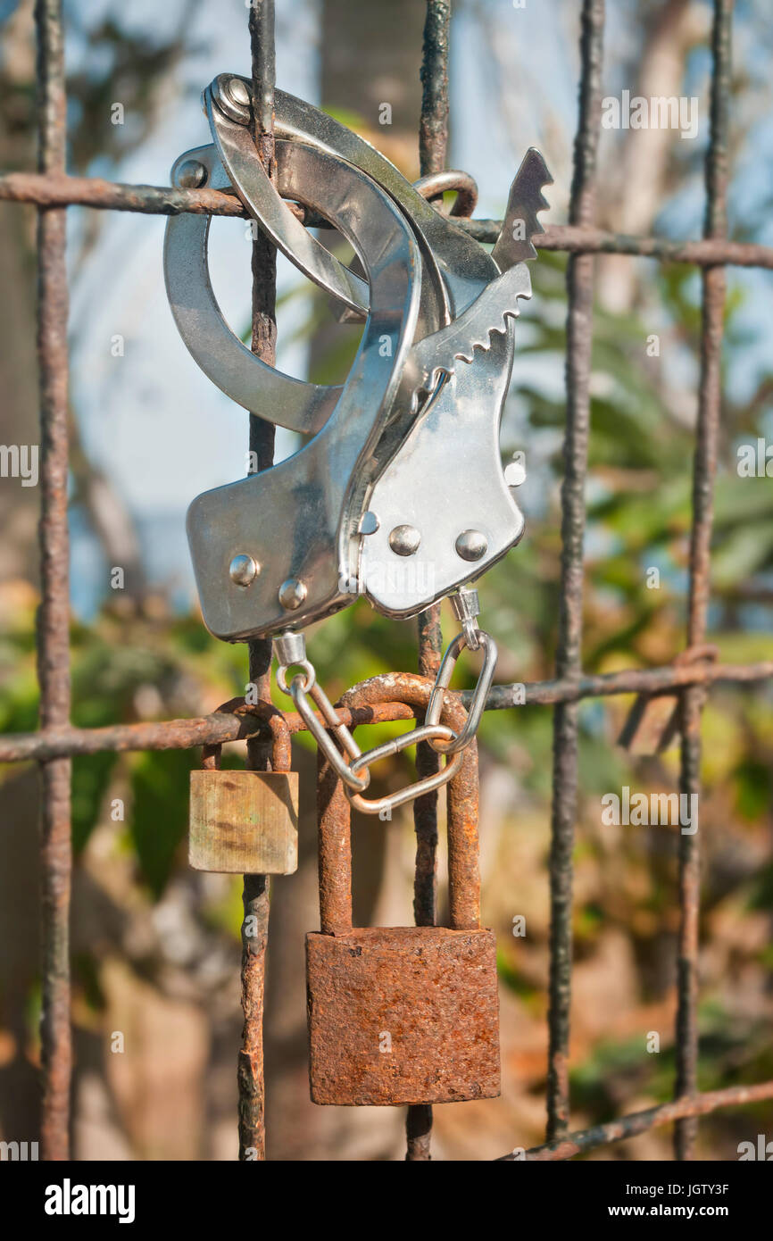 old rusty locks and hand-cuffs on metal fence with blured plants at background on sunny day Stock Photo