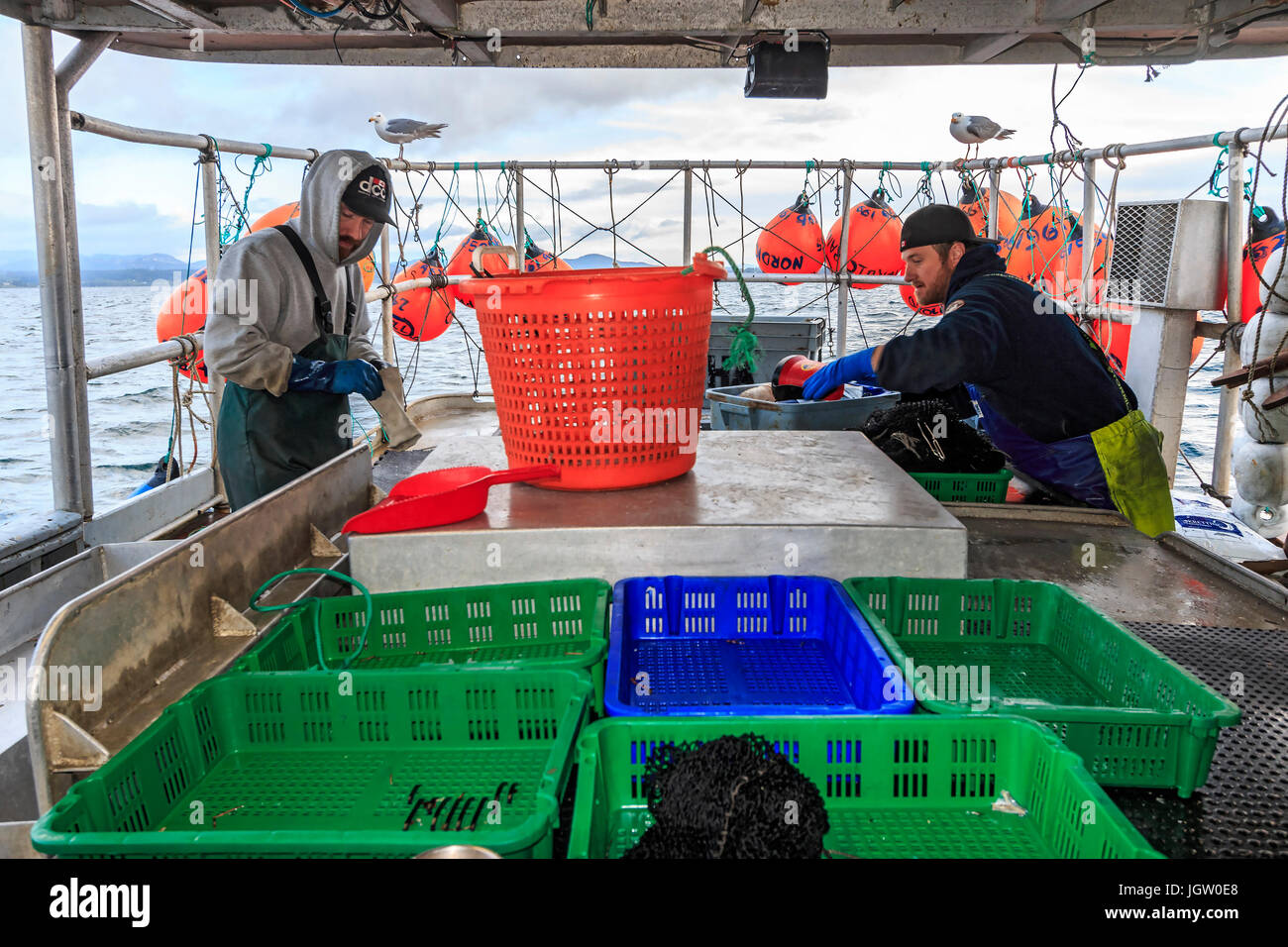 Commercial fishing boat Nordic Rand off Vancouver Island, BC, Canada