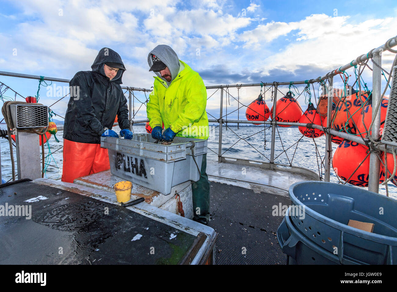 Commercial fishing boat Nordic Rand off Vancouver Island, BC, Canada