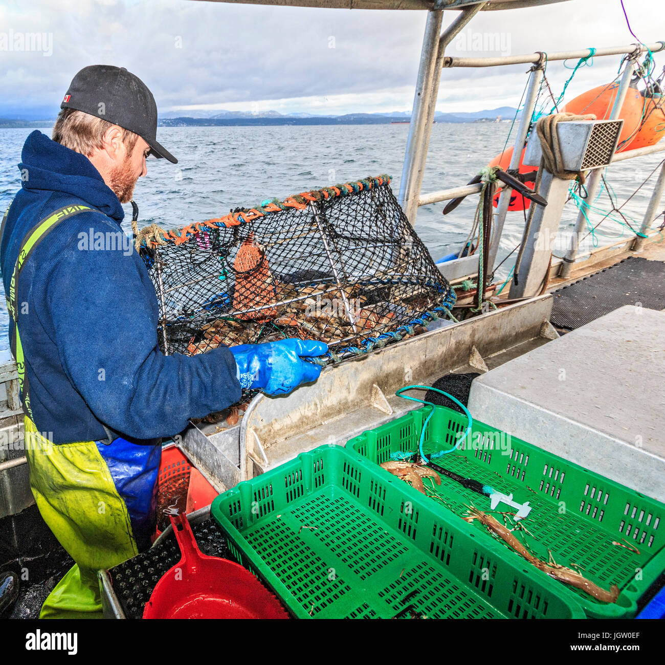 Commercial fishing boat Nordic Rand off Vancouver Island, BC, Canada