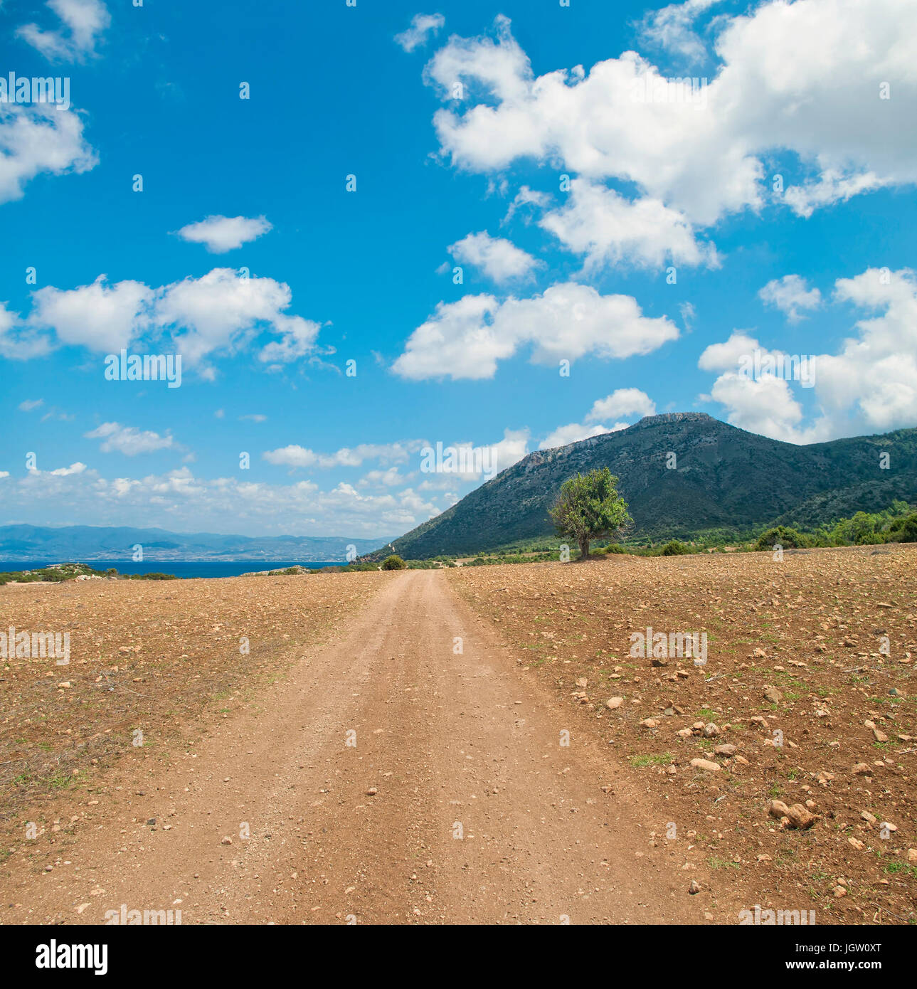 dirt road in Akamas National Park on Akamas Peninsula on sunny day, Cyprus Stock Photo