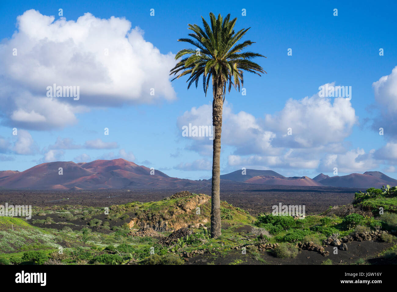Volcanic landscape between Yaiza and Uga, behind the fire mountains Montanas del Fuego, Nationalpark Timanfaya, Lanzarote, Canary islands, Europe Stock Photo