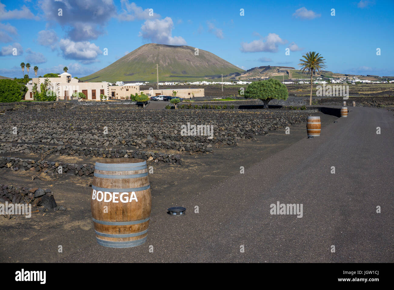 Bodega Barreto, La Geria, Lanzarote island, Canary islands, Spain, Europe Stock Photo