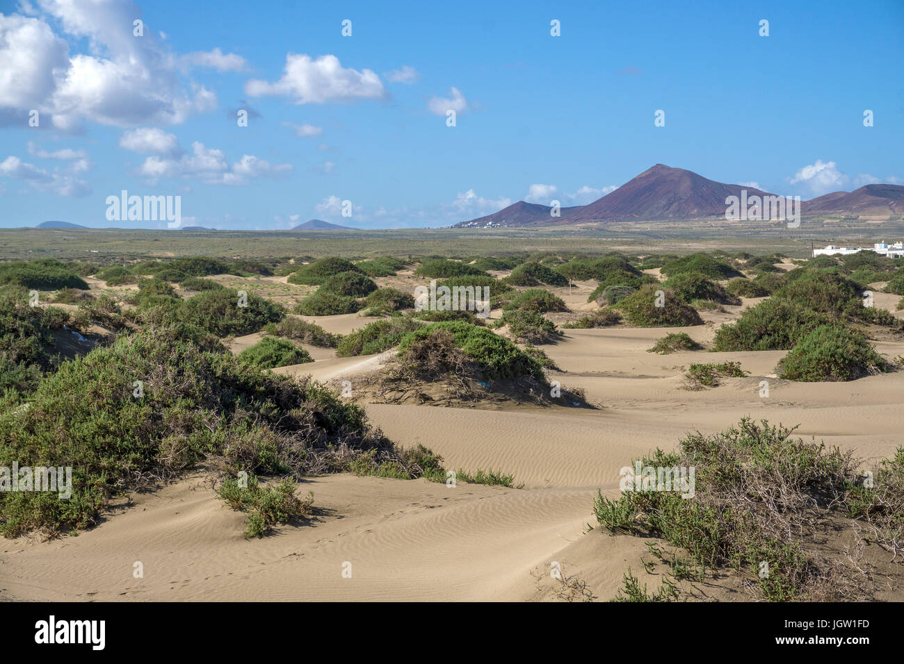 Sandduenen am Playa de San Juan, La Caleta de Famara, Lanzarote, Kanarische Inseln, Europa | Sand dunes at Playa de San Juan, La Caleta de Famara, Lan Stock Photo