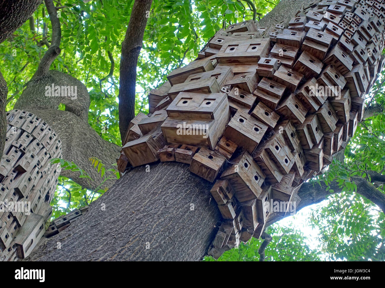 'Tree of Heaven' bird boxes installation by Spontaneous City in Islington, London Stock Photo