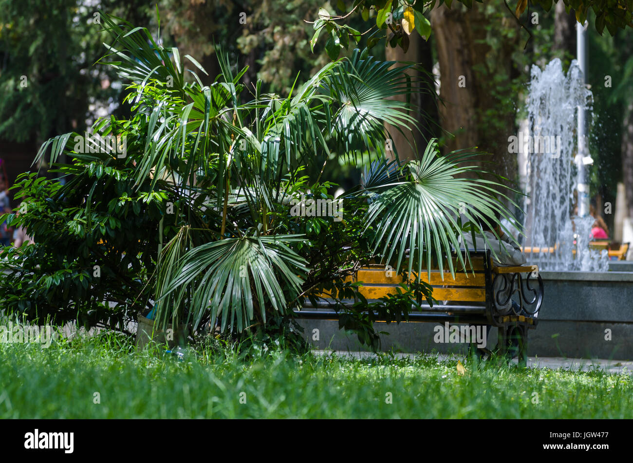 Man sleeping in the forest hi-res stock photography and images - Alamy