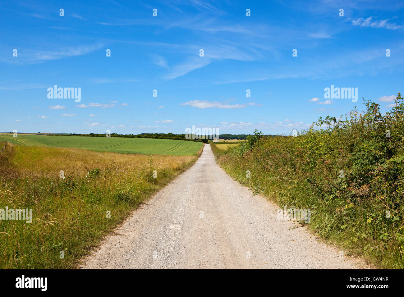 English summer countryside hi-res stock photography and images - Alamy