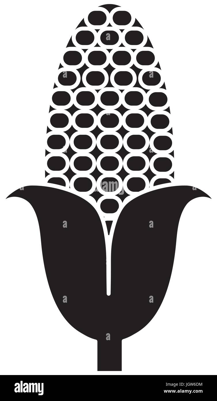 corn vegetable icon over white background vector illustration Stock ...
