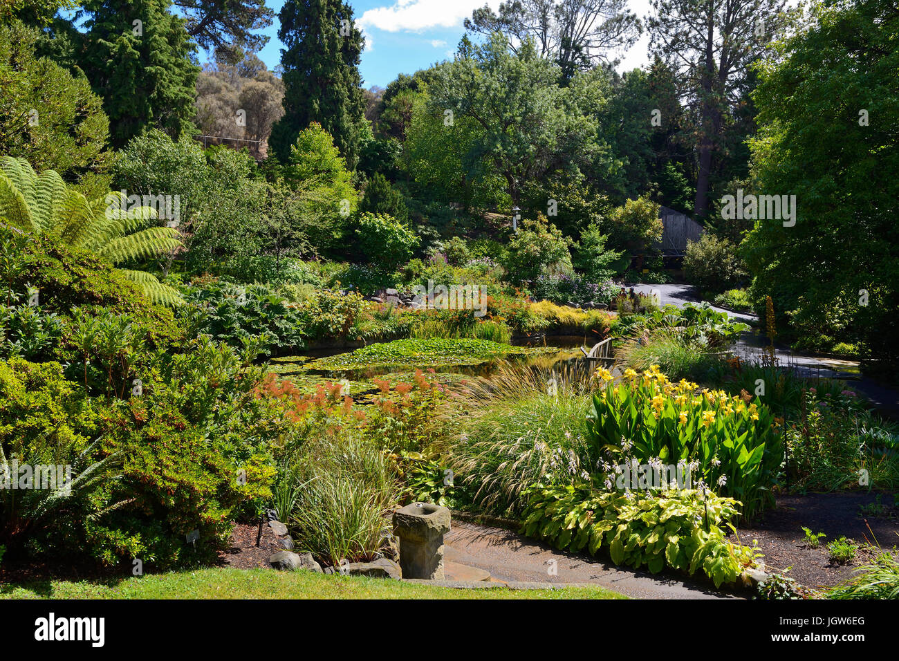 Lily pond in the Royal Tasmanian Botanical Gardens in Hobart, Tasmania, Australia Stock Photo