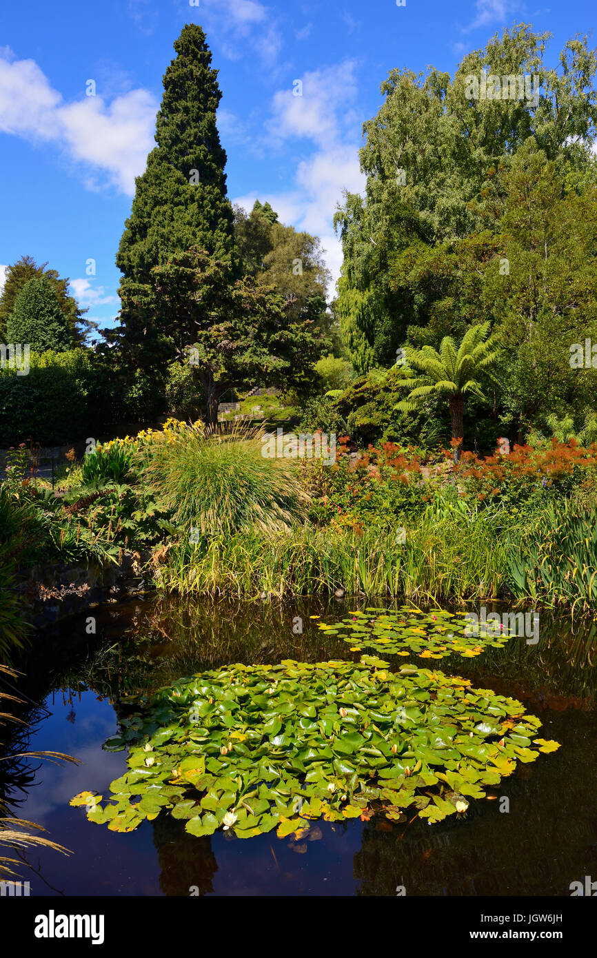 Lily pond royal botanic gardens hires stock photography and images Alamy
