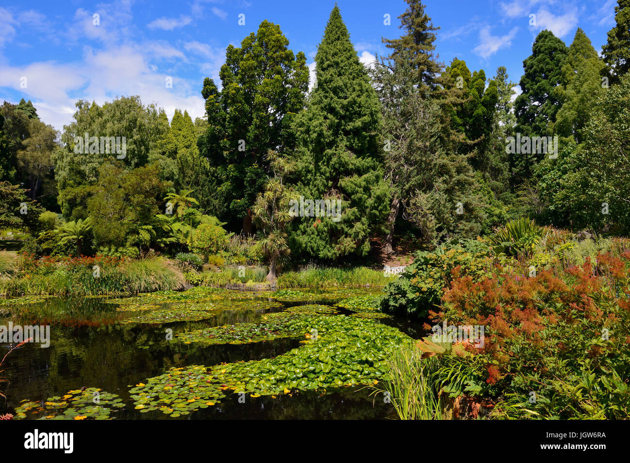 Lily pond royal botanic gardens hi-res stock photography and images - Alamy