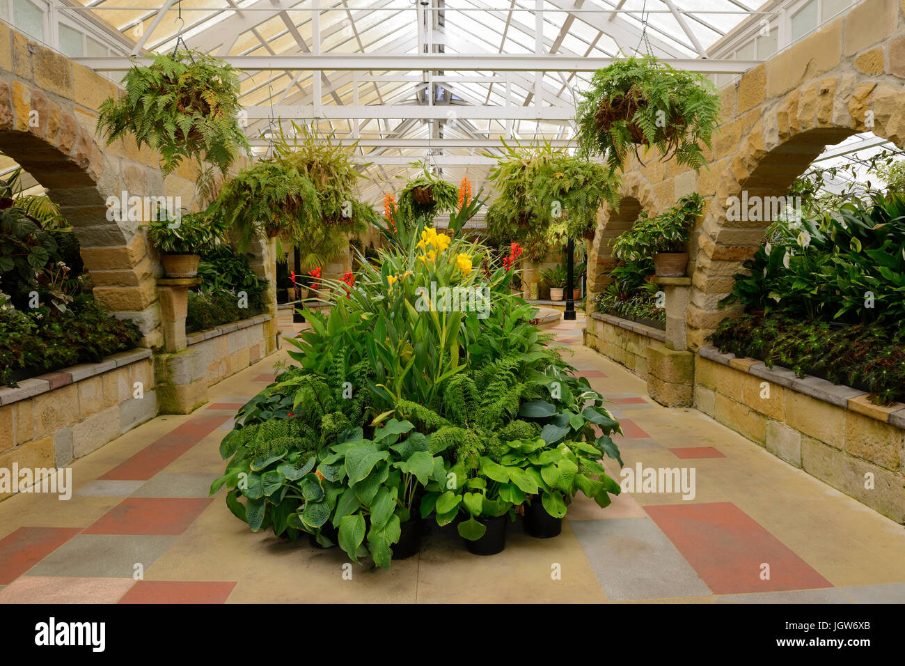 Interior of the Conservatory in the Royal Tasmanian Botanical Gardens in Hobart, Tasmania, Australia Stock Photo