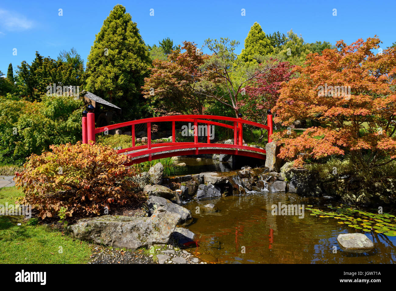 Japanese Garden in the Royal Tasmanian Botanical Gardens in Hobart, Tasmania, Australia Stock Photo