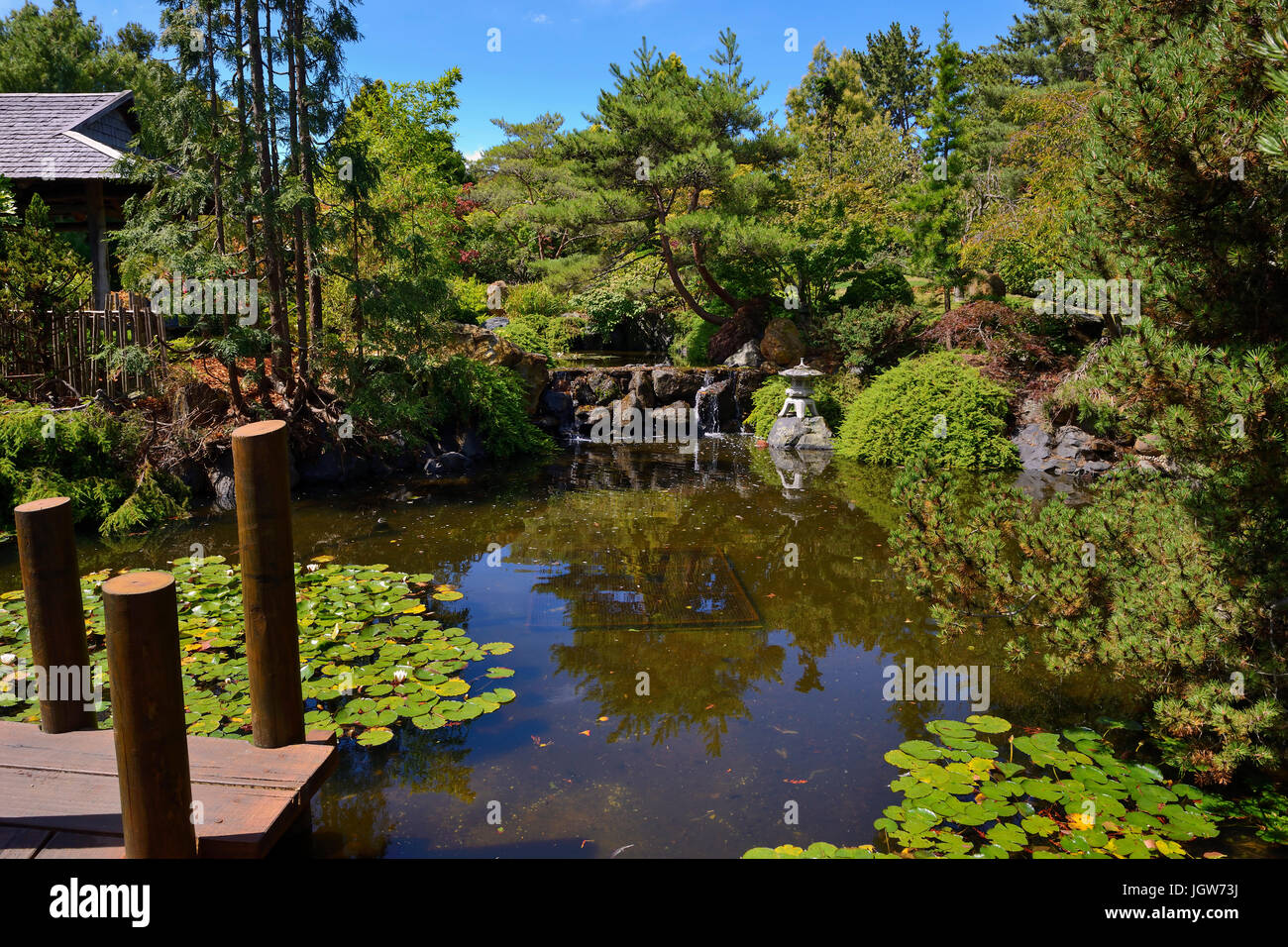 Japanese Garden in the Royal Tasmanian Botanical Gardens in Hobart, Tasmania, Australia Stock Photo