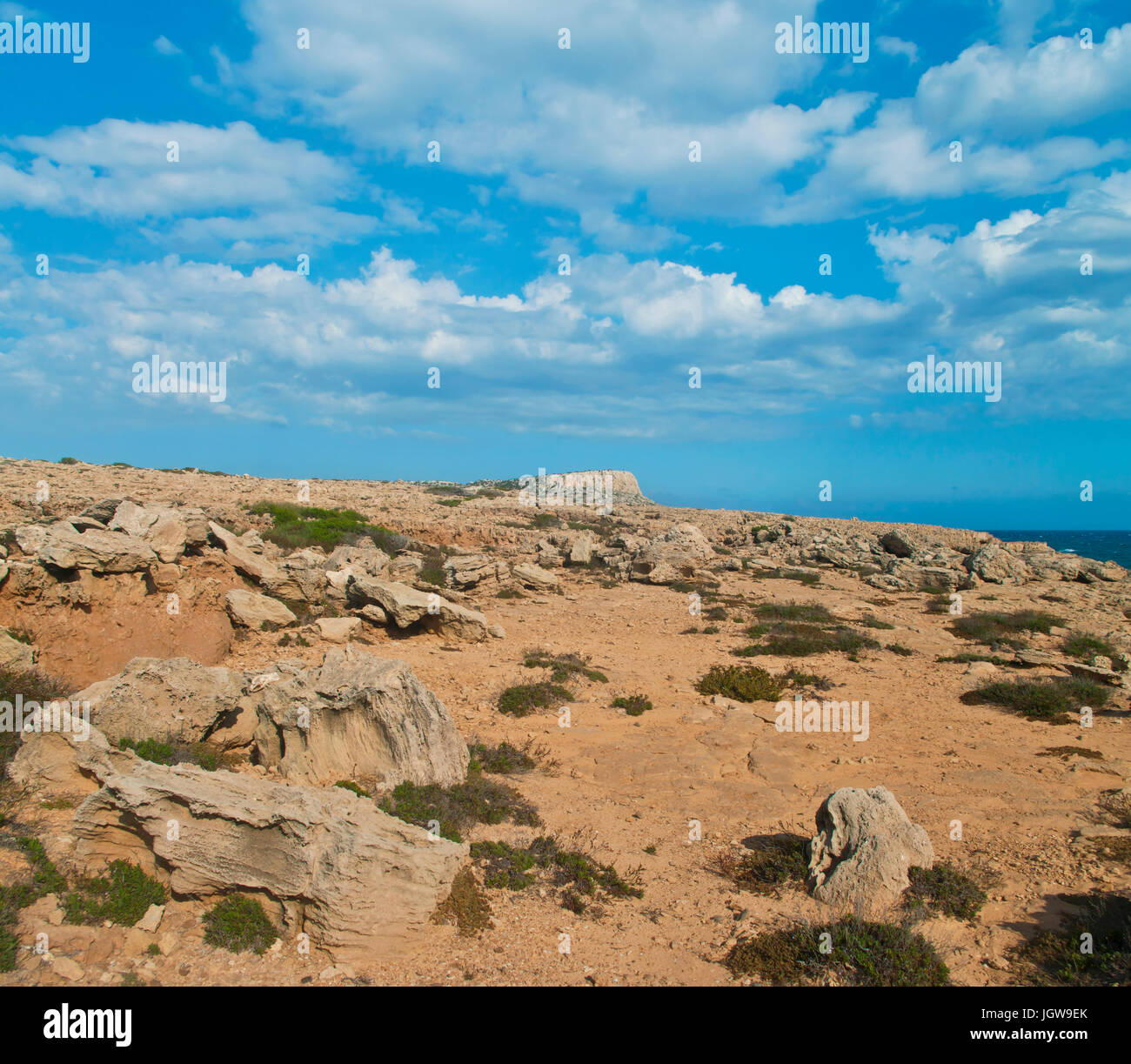 fossil field at cape greco, cyprus Stock Photo
