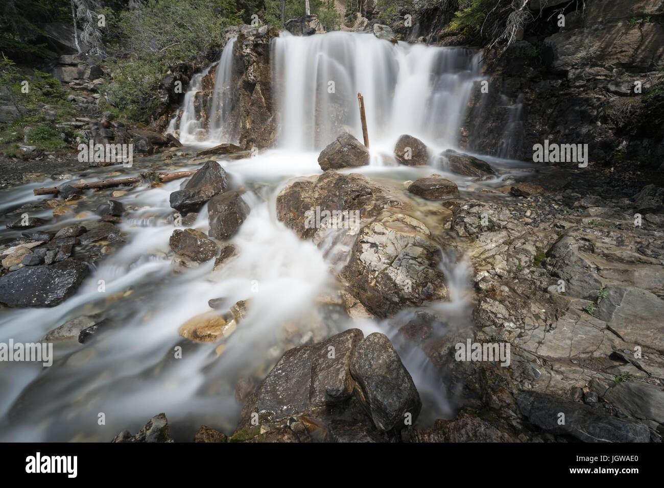 Tangle Creek Falls, Jasper National Park, Canada Stock Photo