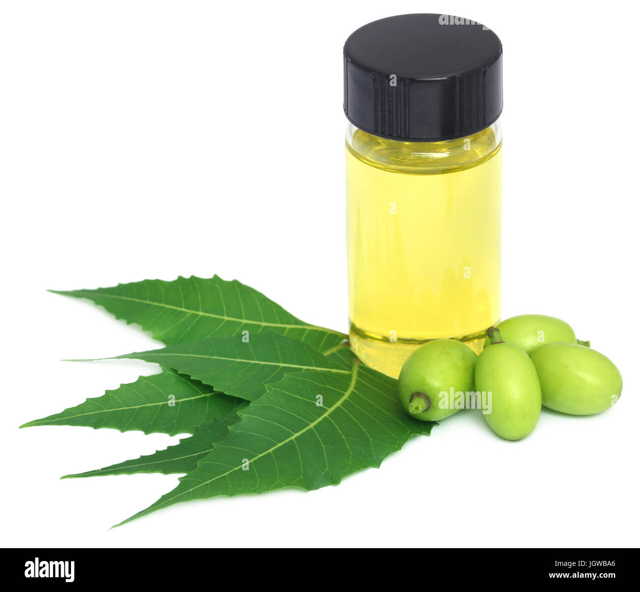 Medicinal neem leaves and fruits with essential oil over white background Stock Photo