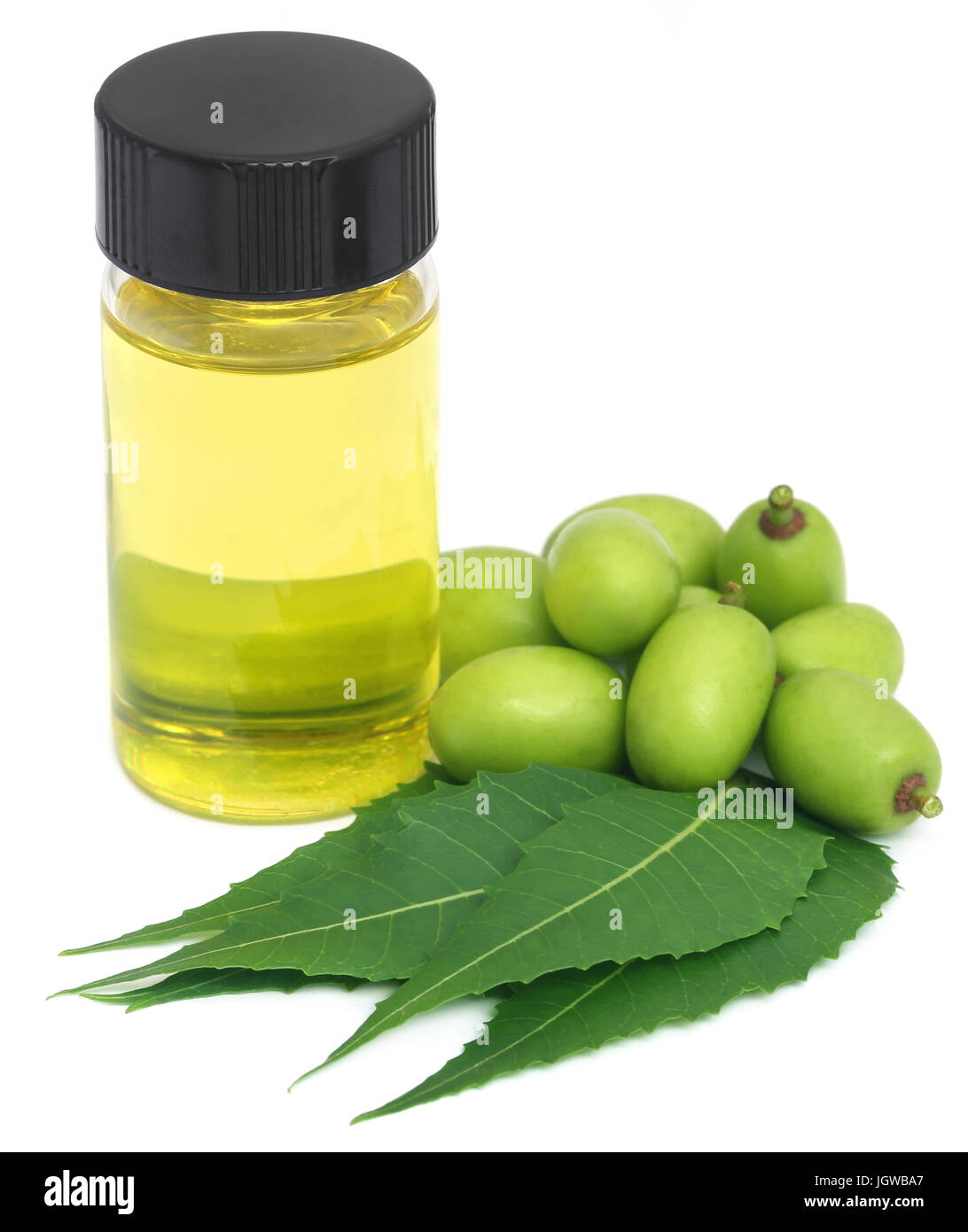 Medicinal neem leaves and fruits with essential oil over white background Stock Photo