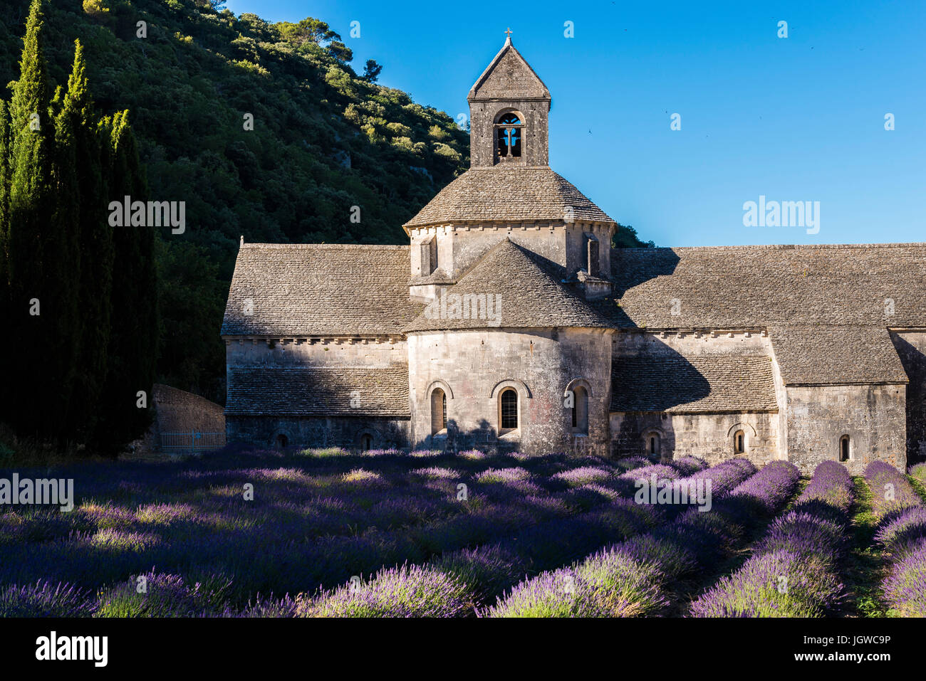 Abbaye de Sénanque, Gordes, Vaucluse, France 84 Stock Photo