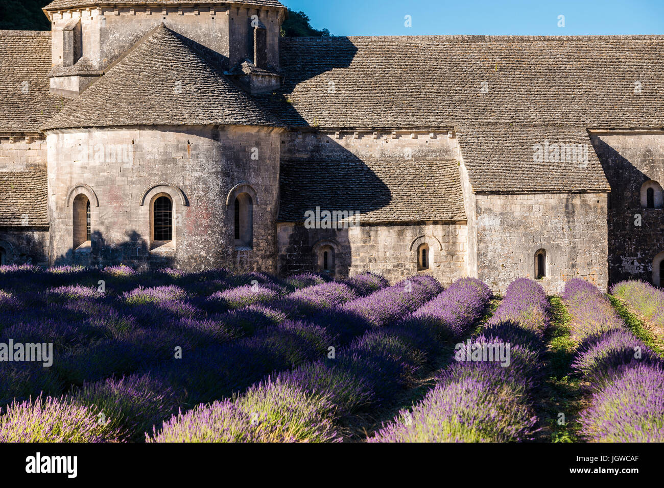 Abbaye de Sénanque, Gordes, Vaucluse, France 84 Stock Photo