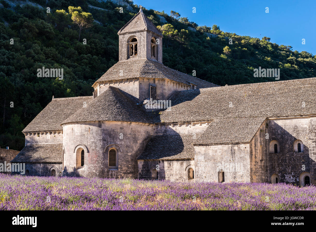 Abbaye de Sénanque, Gordes, Vaucluse, France 84 Stock Photo