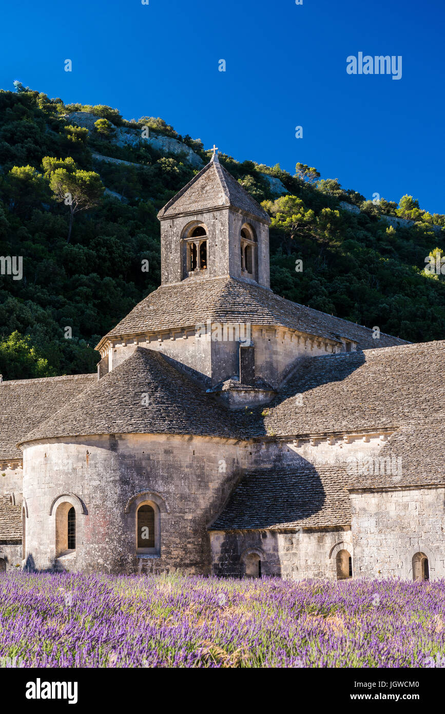 Abbaye de Sénanque, Gordes, Vaucluse, France 84 Stock Photo