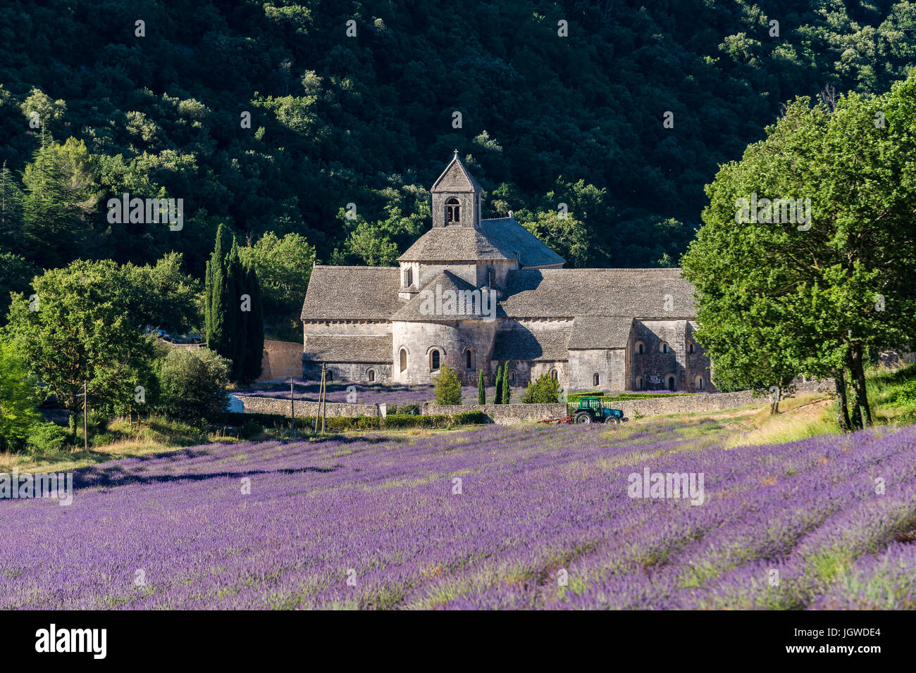 Abbaye de Sénanque, Gordes, Vaucluse, France 84 Stock Photo