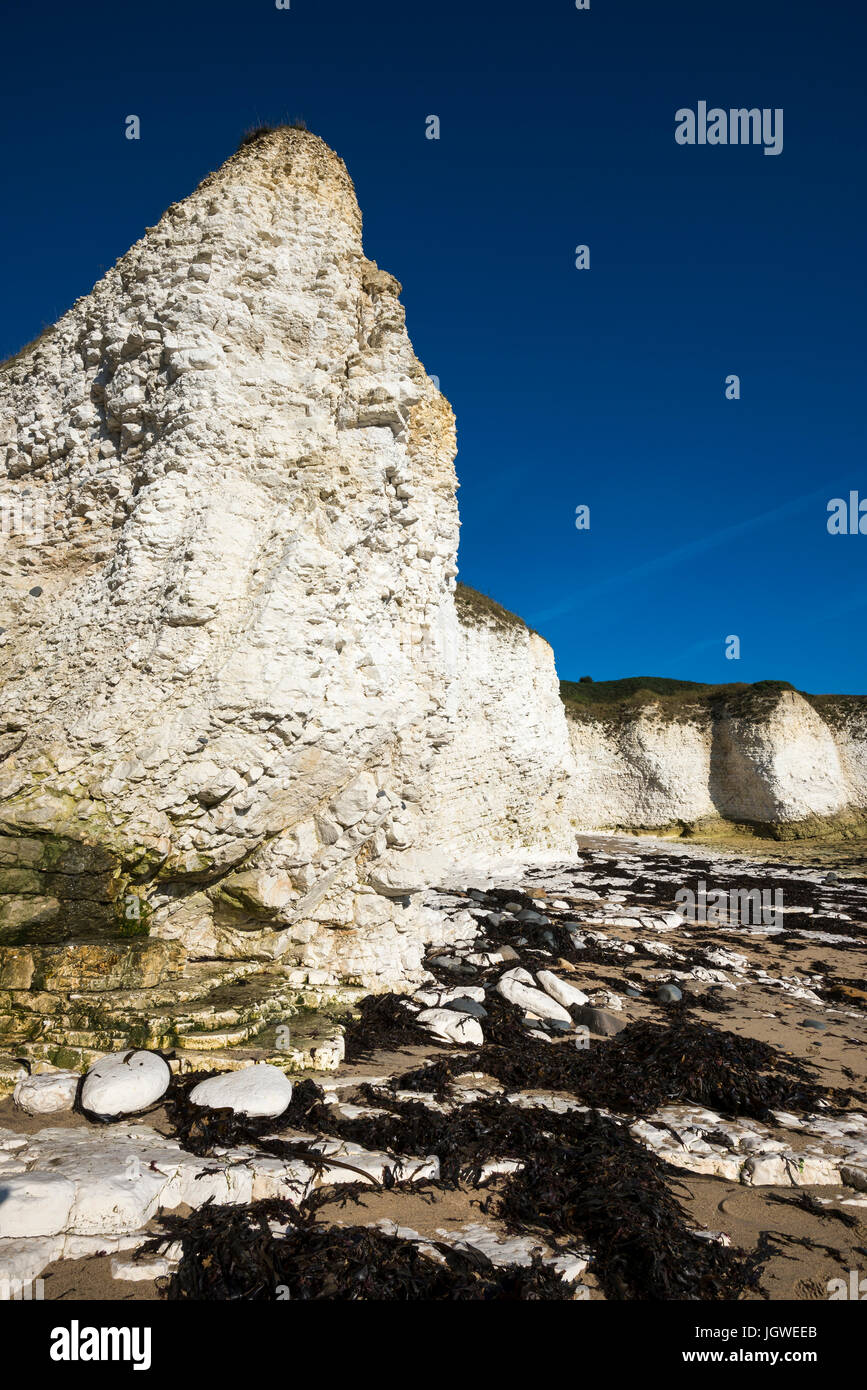 Selwicks bay chalk cliff cliffs hires stock photography and images Alamy