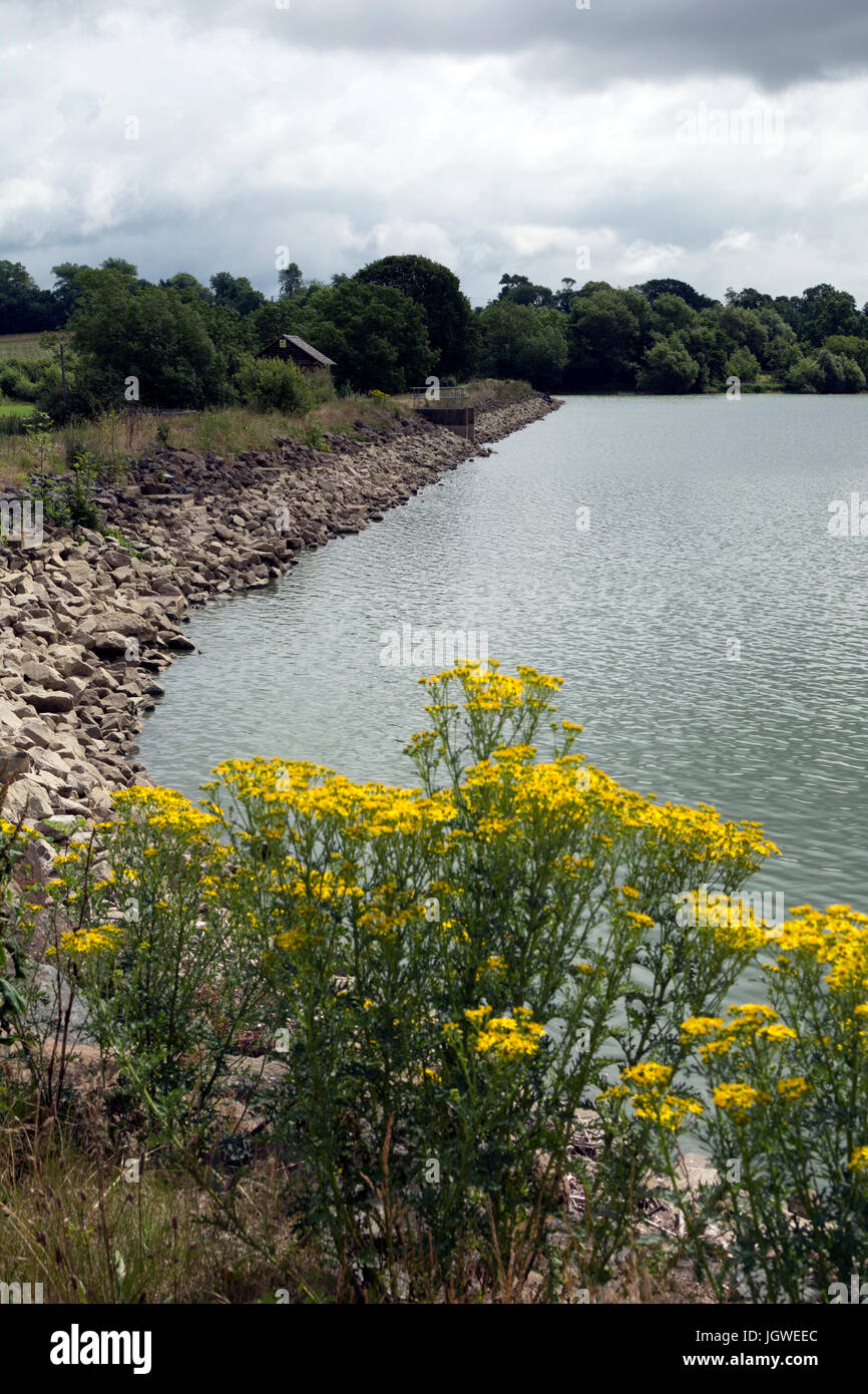 Boddington Reservoir, Northamptonshire, England, UK Stock Photo Alamy