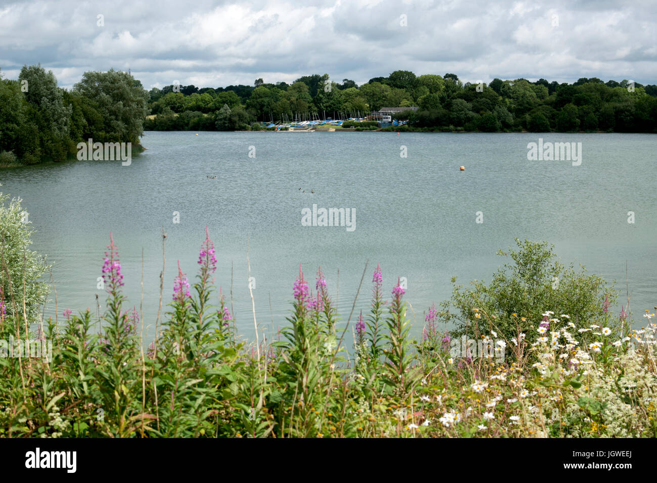 Boddington Reservoir, Northamptonshire, England, UK Stock Photo Alamy