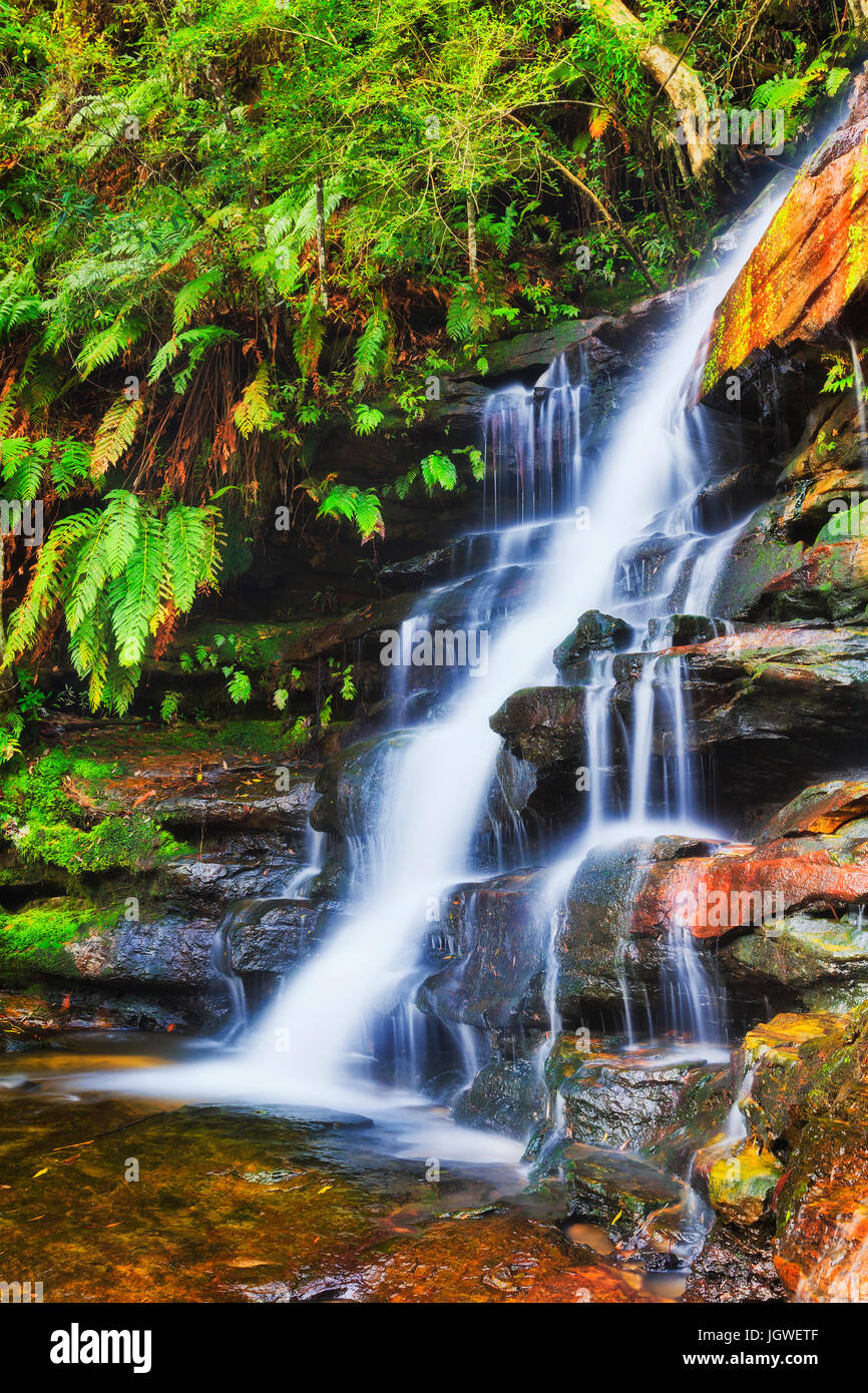 BLurred flowing stream of Somersby waterfall down sandstone rocks in evergreen rain-forest on Australian central coast. Stock Photo