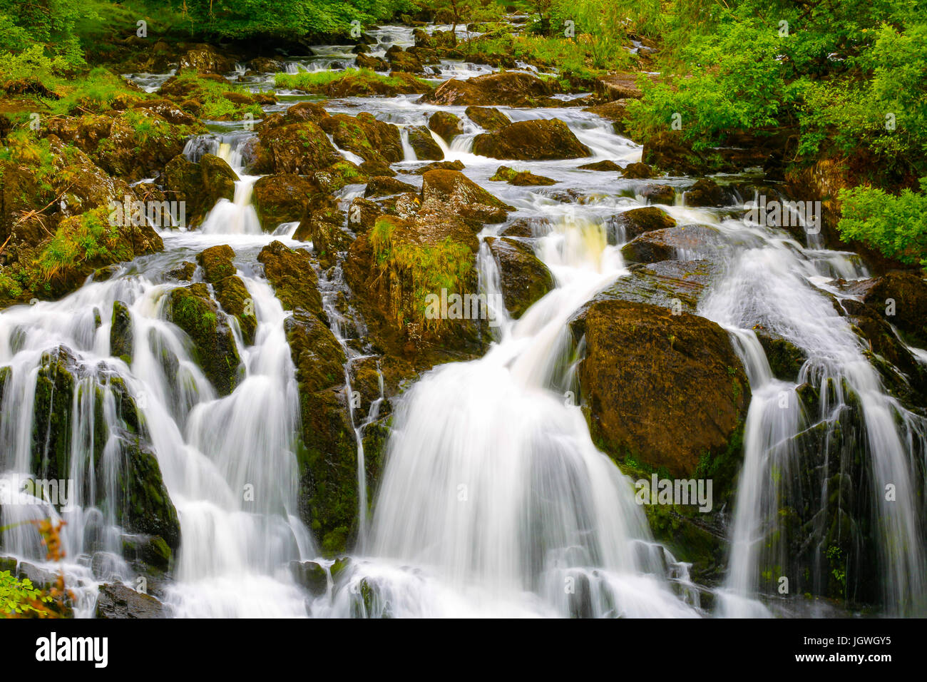 UK Wales Snowdonia Swallow waterfalls spring 2017. Swallow Falls at Betws y Coed, Gwynedd, Wales Stock Photo
