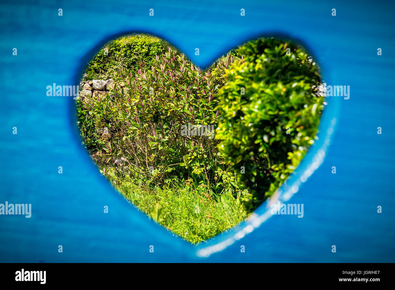 hole in a wooden wall background Stock Photo