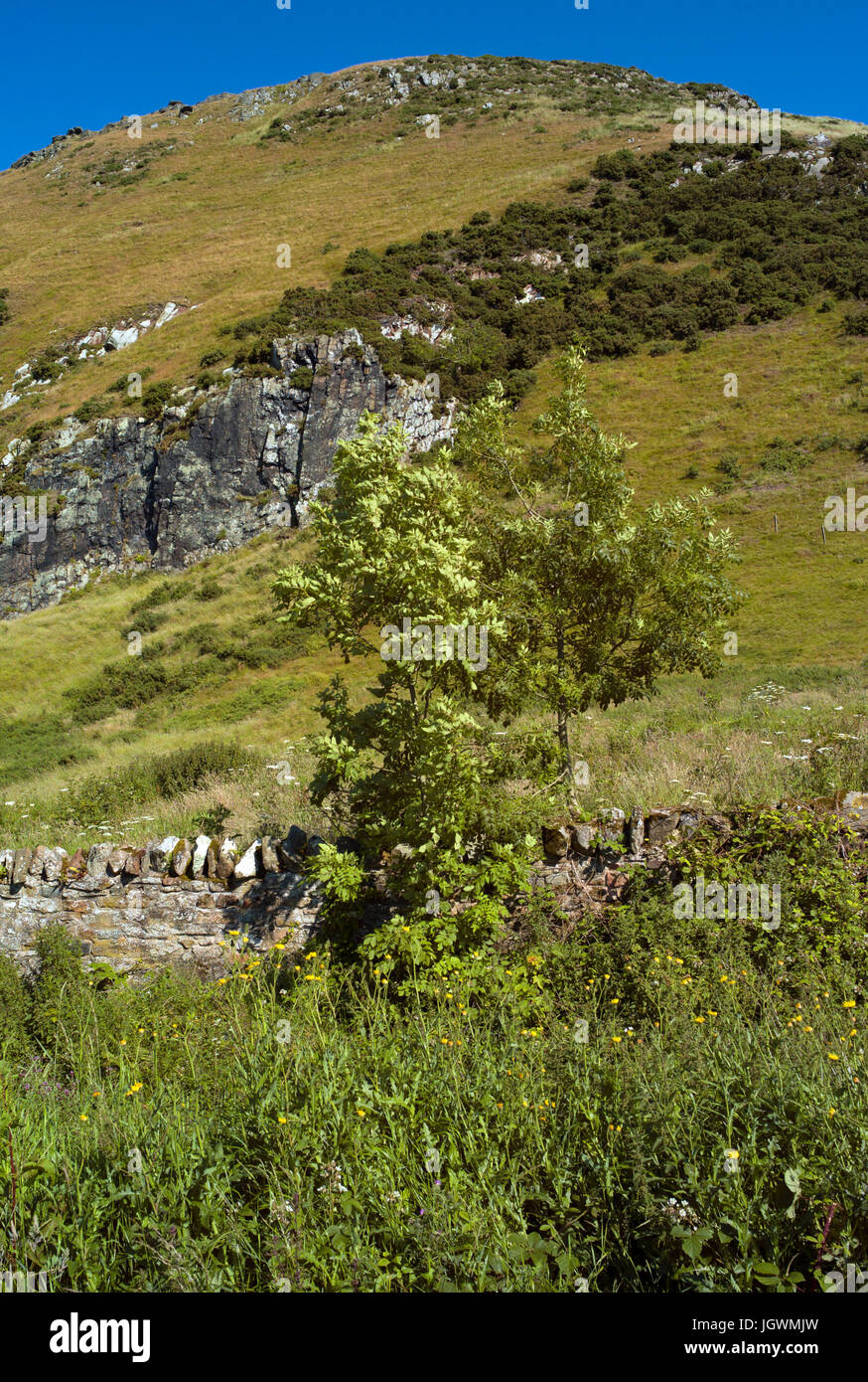 North Berwick, Scotland Stock Photo Alamy