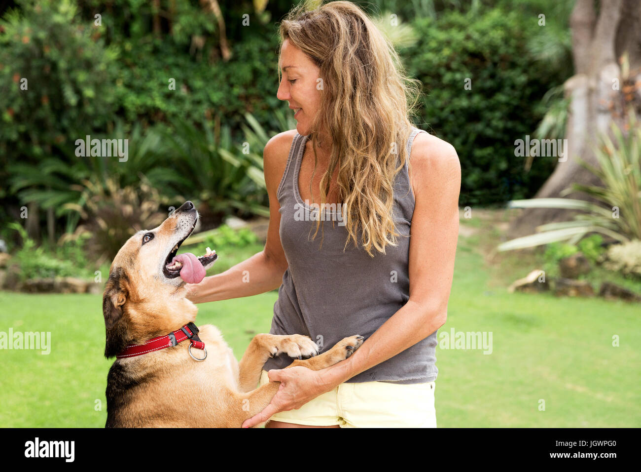 Woman stroking excited dog Stock Photo
