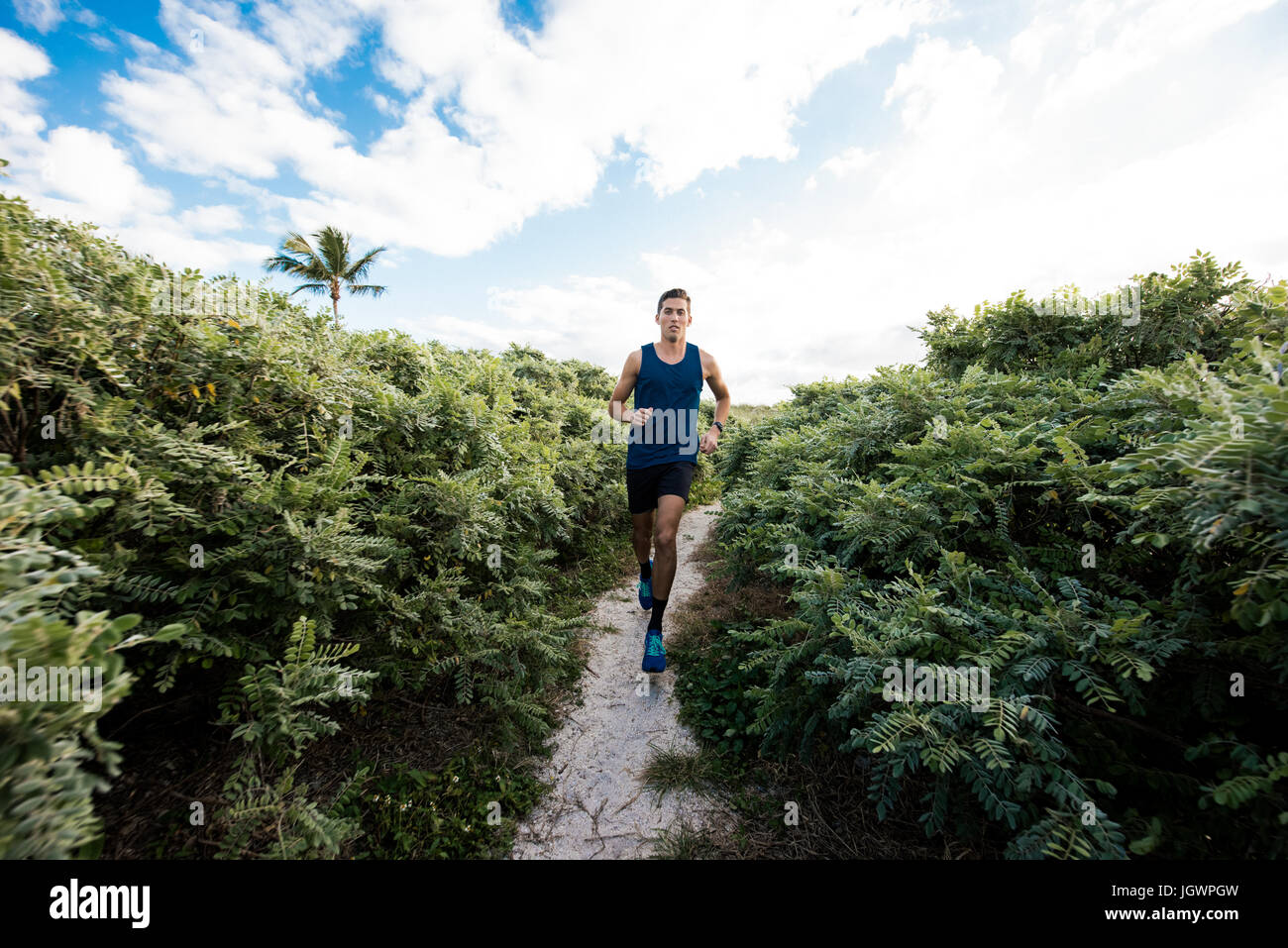 Young man exercising, running outdoors, South Point Park, Miami Beach, Florida, USA Stock Photo