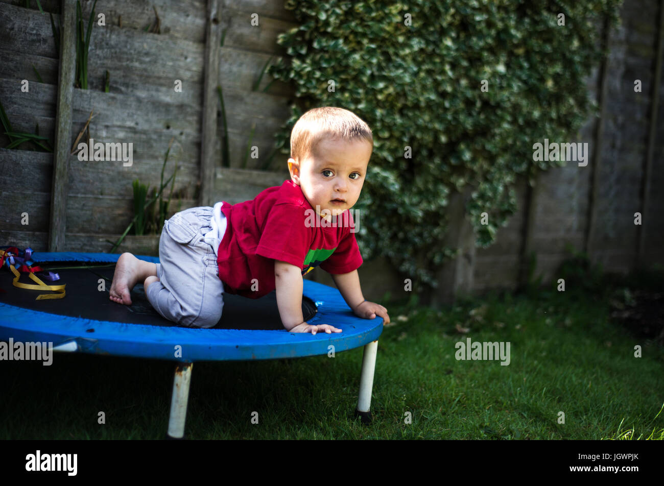 Baby boy crawling on trampoline Stock Photo