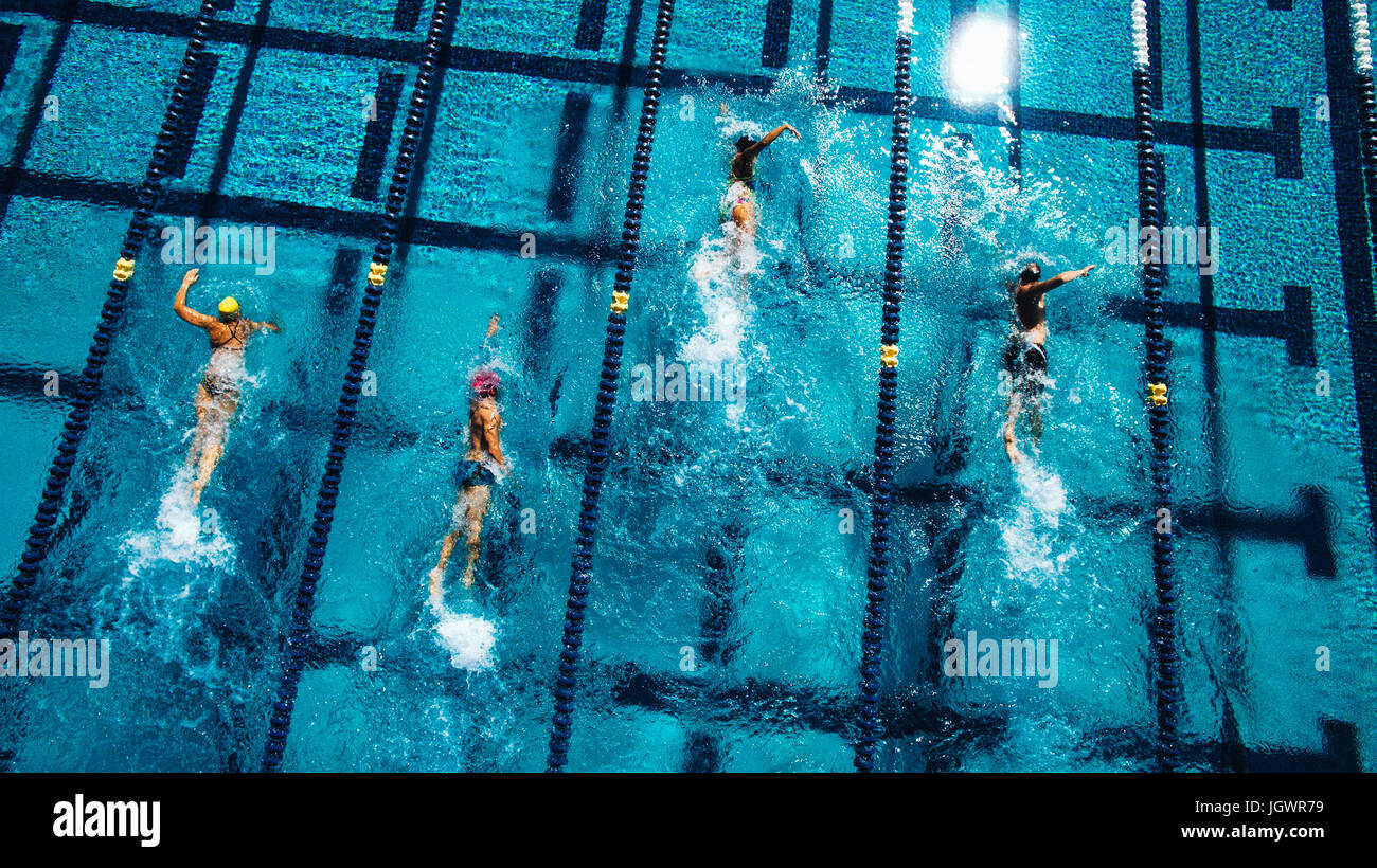 Overhead view of swimmers in pool Stock Photo