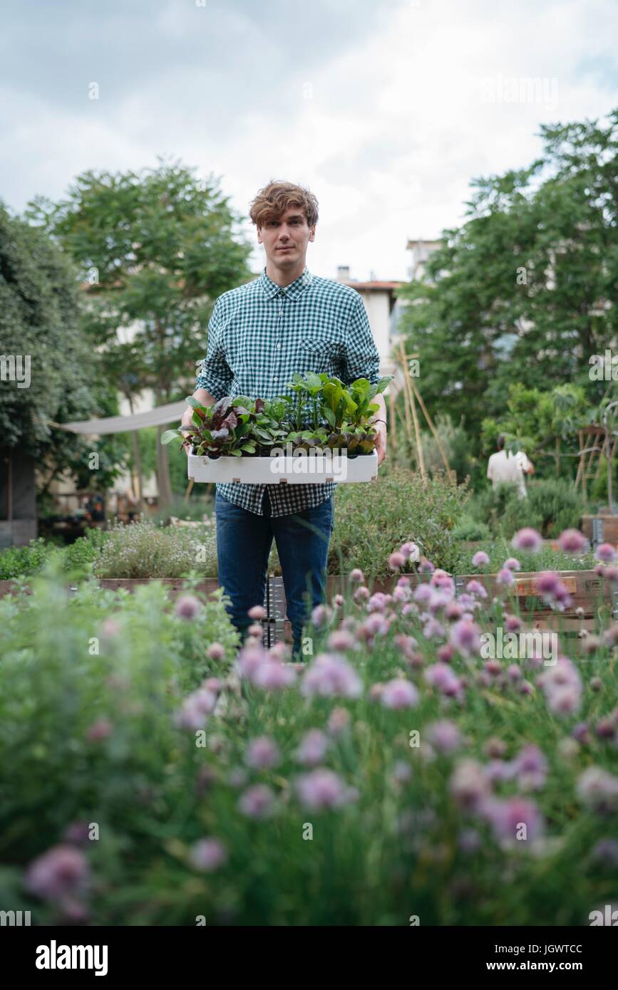 Man in garden holding plants hi-res stock photography and images - Alamy