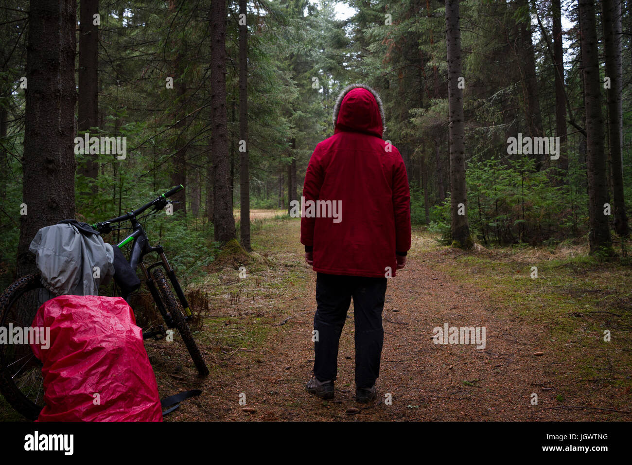 Rear view of male mountain biker in red parka looking out at forest Stock Photo