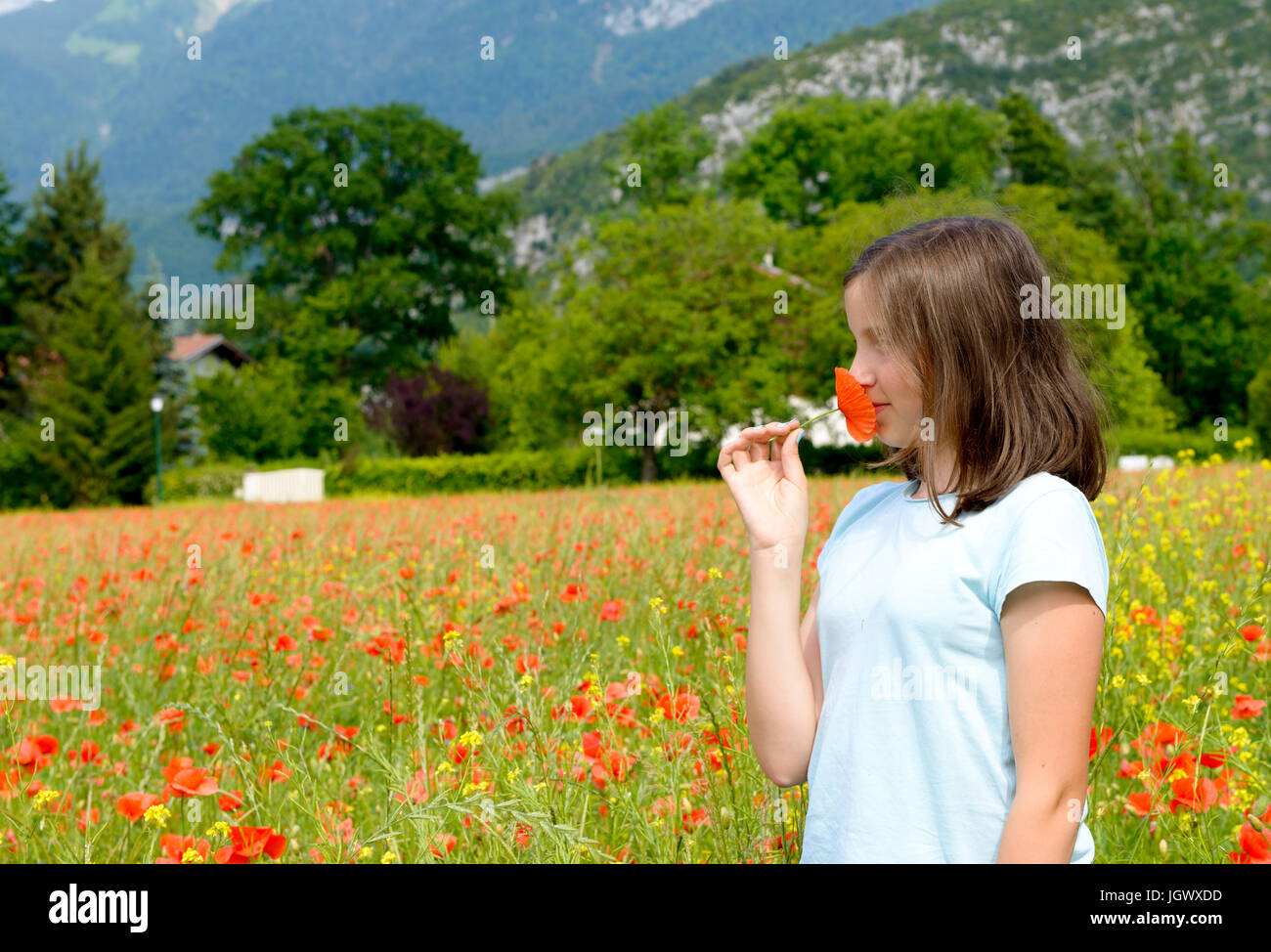 a young teenage girl in poppy field Stock Photo - Alamy