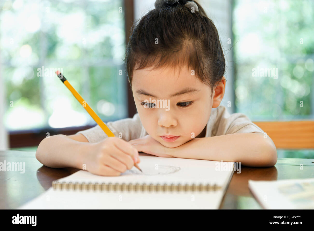 Little girl studying at home Stock Photo - Alamy