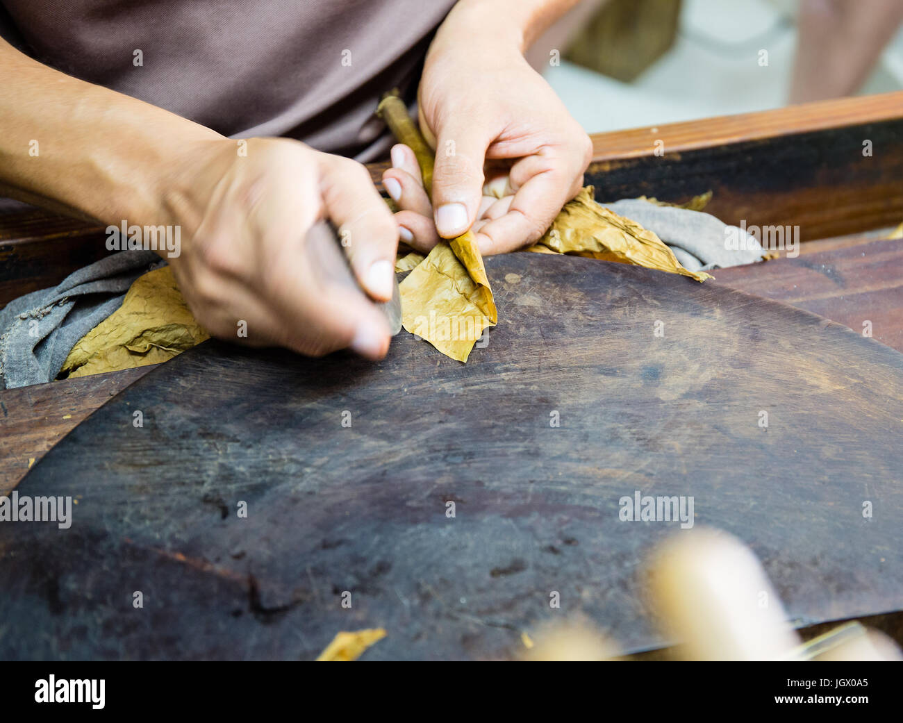 Closeup of hands making cigar from tobacco leaves. Traditional manufacture of cigars. Dominican Republic. Stock Photo