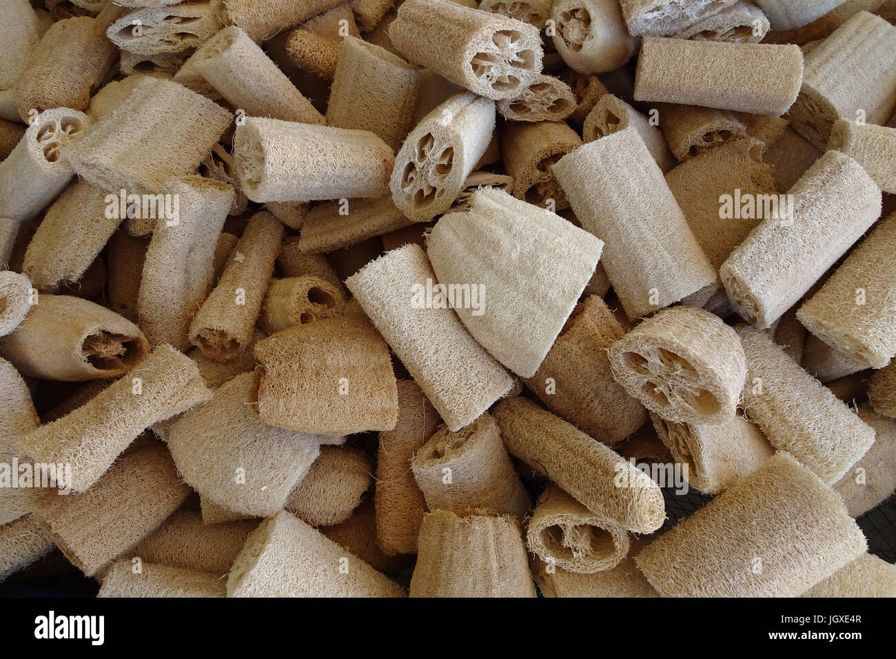 Marktstand mit Luffaschwaemmen, fassriges Innere vom Schwammkuerbis (Luffa aegyptiaca, synonym: Luffa cylindrica), meist als Massage-oder Badeschwamm  Stock Photo