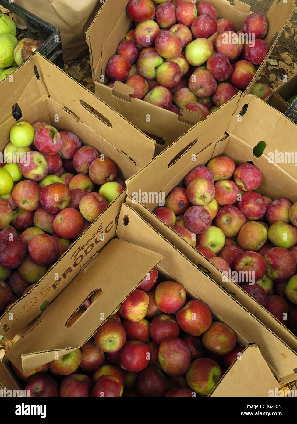 Boxes of local apples used to make cider with old-fashioned cider presses during the Apple Festival in Palomar Mountain State Park in the fall. Stock Photo