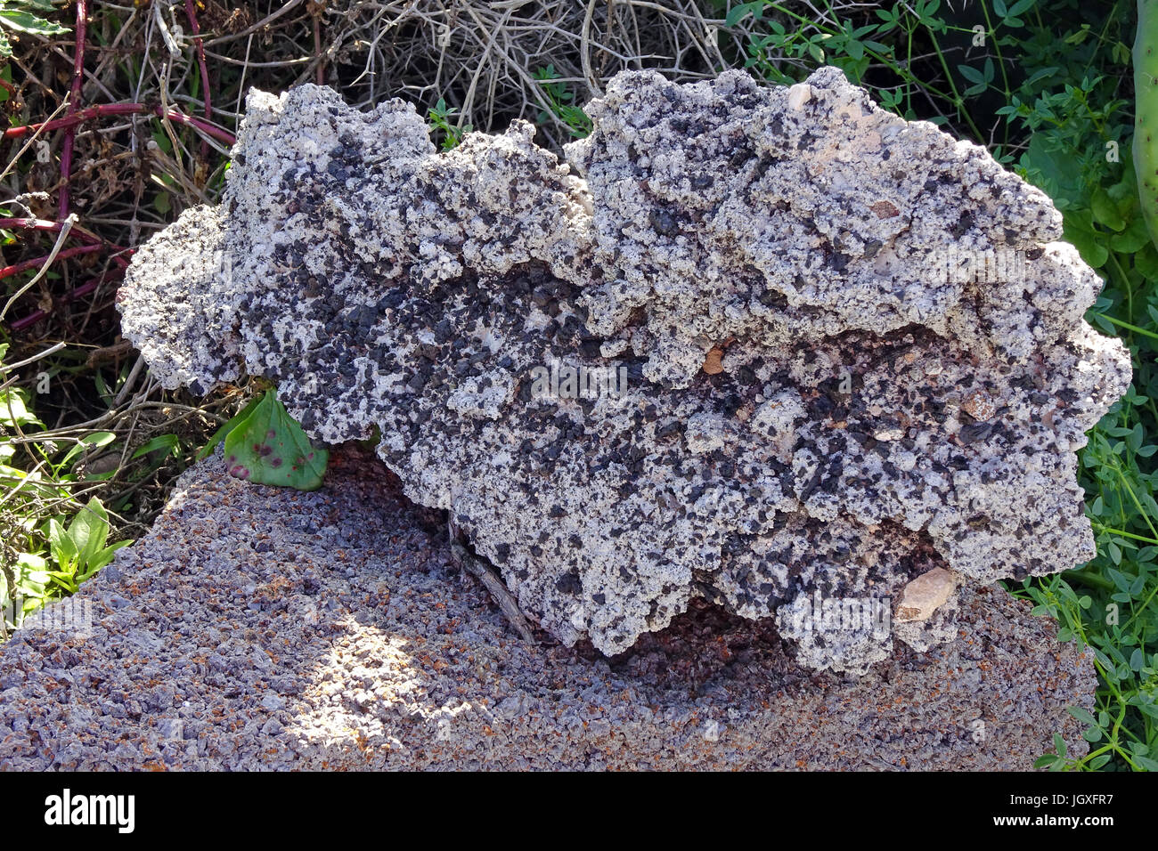 Stein mit Lavaeinschluessen, La Geria, Lanzarote, Kanarische Inseln, Europa | Stone with lava particles, La Geria, Lanzarote, Canary islands, Europe Stock Photo